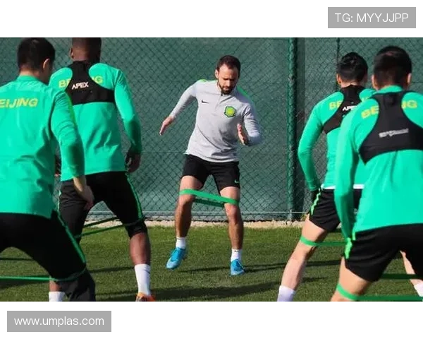 布鲁诺训练方式