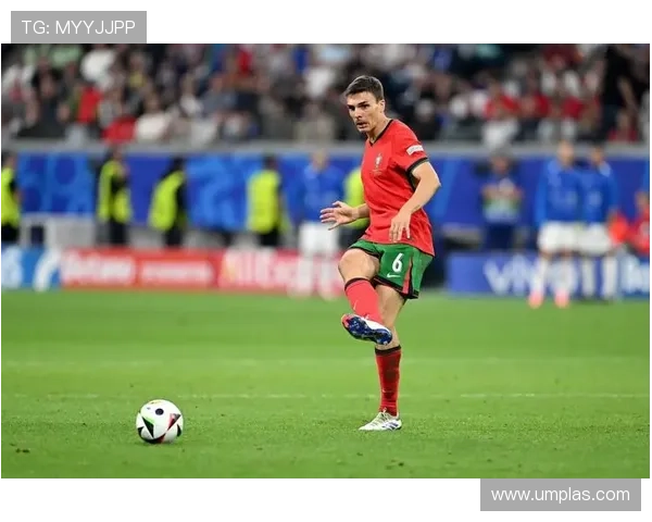 帕利尼亚防守能力解析:对抗成功率与覆盖范围 帕利尼亚防守能力解析:对抗成功率与覆盖范围