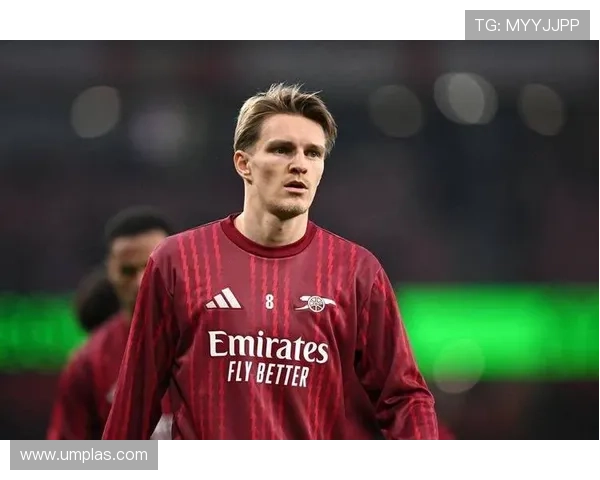 B费 vs 厄德高：体系核心的不同答案